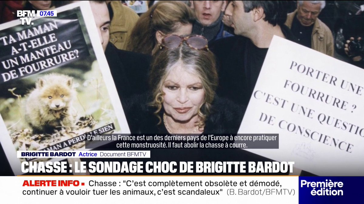 💬 "Une monstruosité" Brigitte Bardot appelle à l'abolition de la chasse à courre "maintenant"
