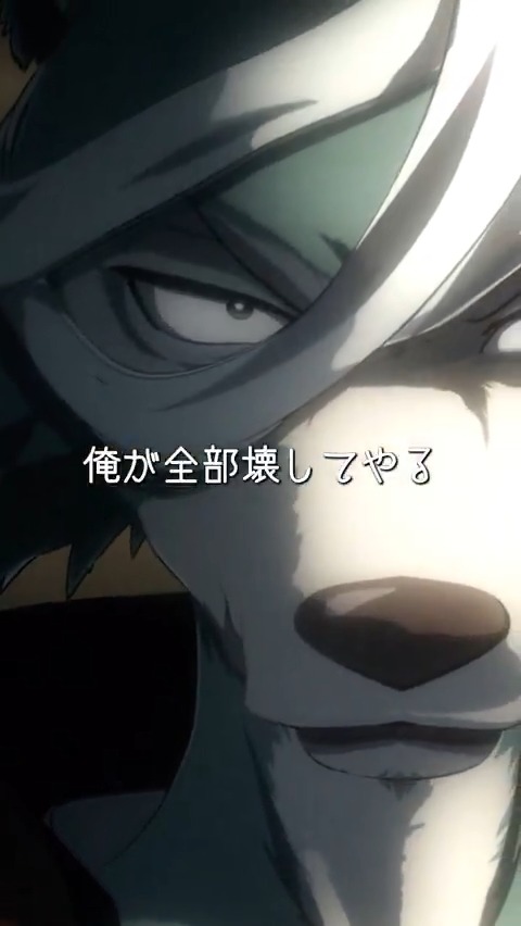 / #BEASTARS 切り抜き動画公開!!🎥 \ 「俺が全部壊してやる」 草食獣の血を飲んだビル。 レゴシはその許されない行為への怒りをぶつける。 ▽公式Tiktokはこちらから! ▽Youtubeショートでも公開中! #bstanime #アニメ