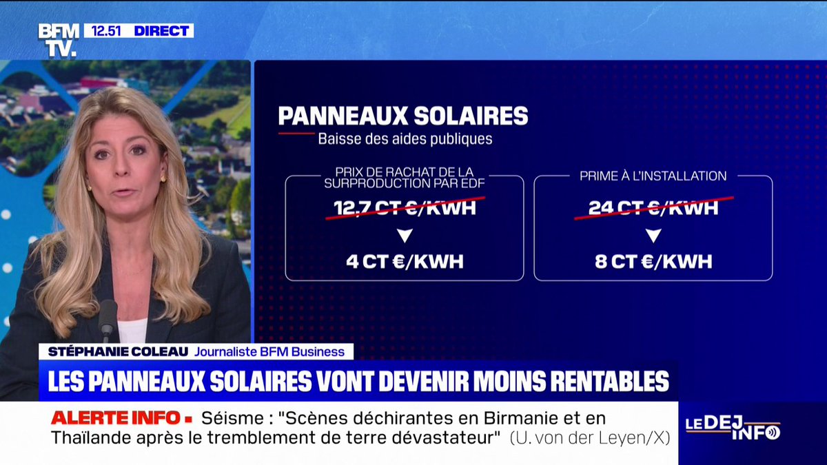 Panneaux solaires: les aides publiques à l'installation baissent à partir d'aujourd'hui Stéphanie Coleau