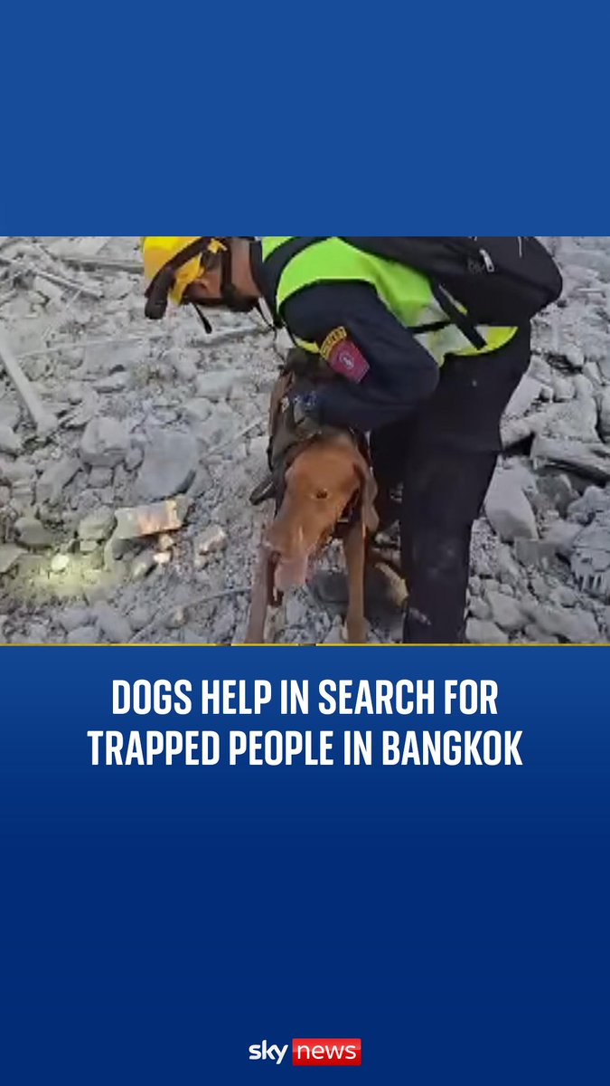 Police dogs are assisting in the search for people trapped under rubble after buildings collapsed in Bangkok following earthquakes in nearby Myanmar