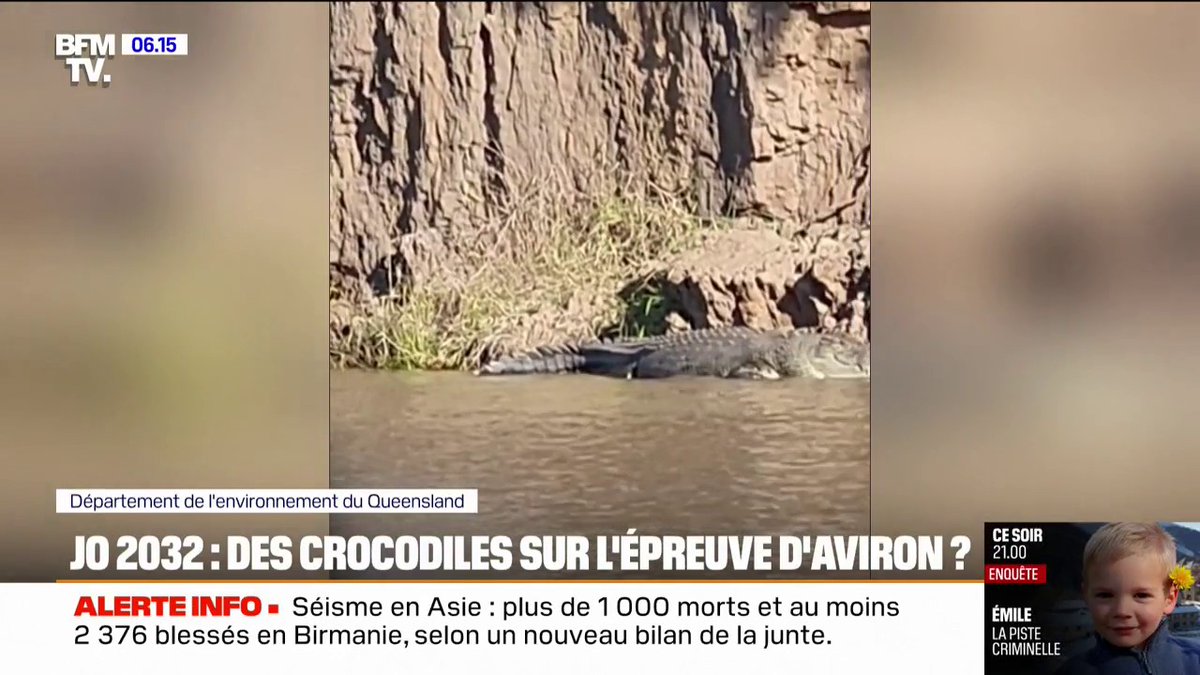 JO 2032: des crocodiles observés à proximité du futur site des épreuves d'aviron en Australie
