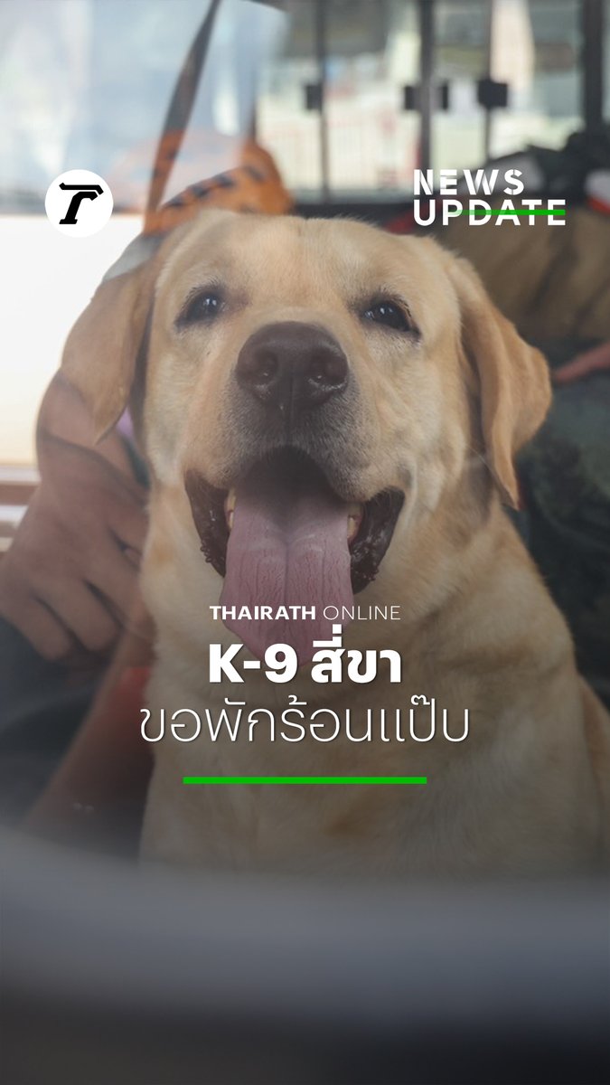 ขอพักร้อนแป๊บ! สุนัขตำรวจตรี คริสติน่า และ สุนัขตำรวจตรี การ์มิน ออกปฏิบัติหน้าที่ค้นหาผู้ประสบภัยติดอยู่ในซากตึก สตง. ถล่ม เป็นวันที่ 2 ท่ามกลางอุณหภูมิที่ร้อนแรงกว่า 35 องศา ในเมืองกรุง จึงต้องหยุดพัก ก่อนเริ่มปฏิบัติการค้นหาต่อในช่วงเย็นต่อไป #แผ่นดินไหว #ไทยรัฐออนไลน์