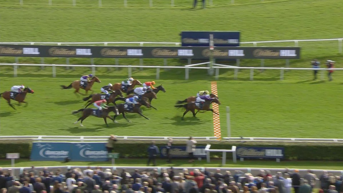 Amo Racing take the opener! Norman's Cay wins the William Hill Top Price Guarantee EBF Brocklesby Stakes! 🥇 #ITVRacing | Doncaster Racecourse | Richard Hannon | David Egan | Amo Racing