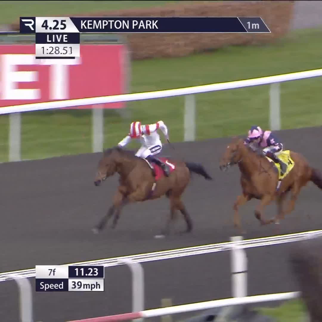 Glittering Legend joins Mostahdaf (2021), Maljoom (2022) & Notable Speech (2024) as a winner of this Kempton Park Racecourse event 👇🏻