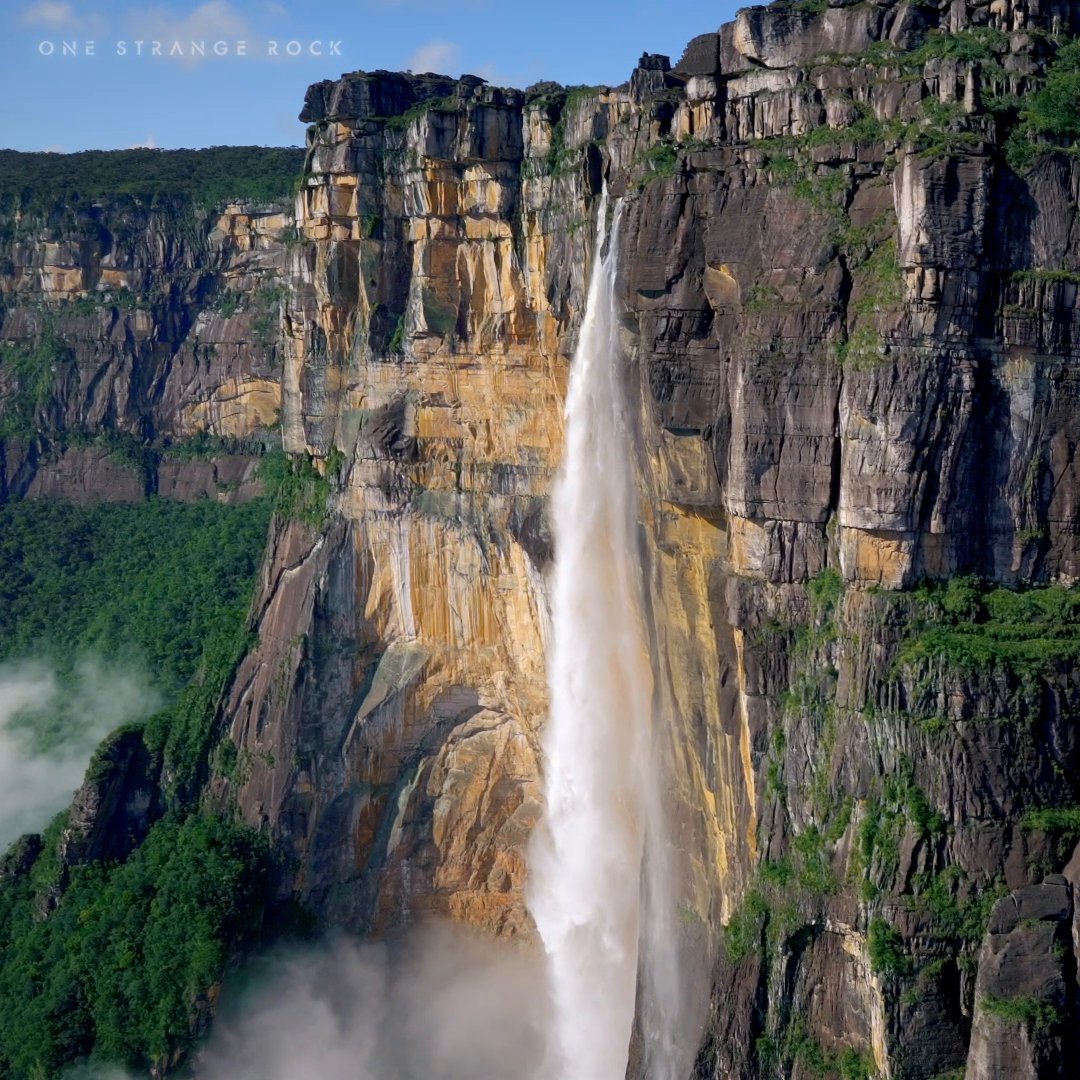 In Venezuela’s Canaima National Park, Angel Falls cascades from a staggering height of 3,212 feet (979 meters)—making it the tallest waterfall in the world! #OneStrangeRock is now streaming on Disney+.