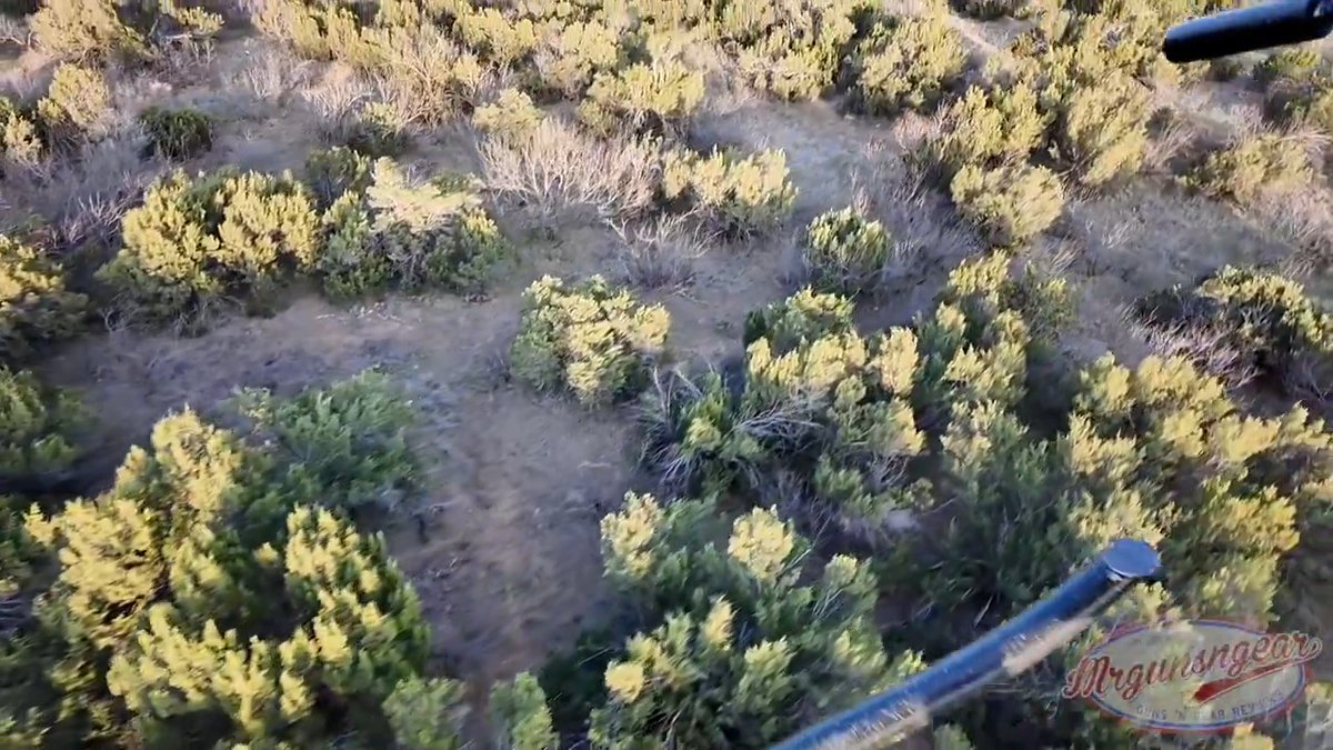 Dropping hogs from a helicopter with the good folks at Trijicon at the Lowrance Ranch 🇺🇸🐗 Since I know you'll ask (I would too) the ammo was just 223 55gr FMJs out of a 16'' Adams Arms upper 🤙🏽 #hunting #hogs #boar #eradication #texas #trijicon