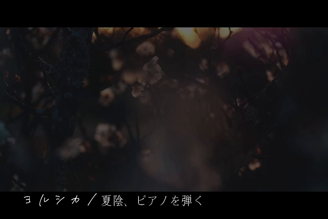私の人生とも言える好きなアーティストさんの曲を借りて、今まで撮った映像で動画を作りました。 #ヨルシカ
