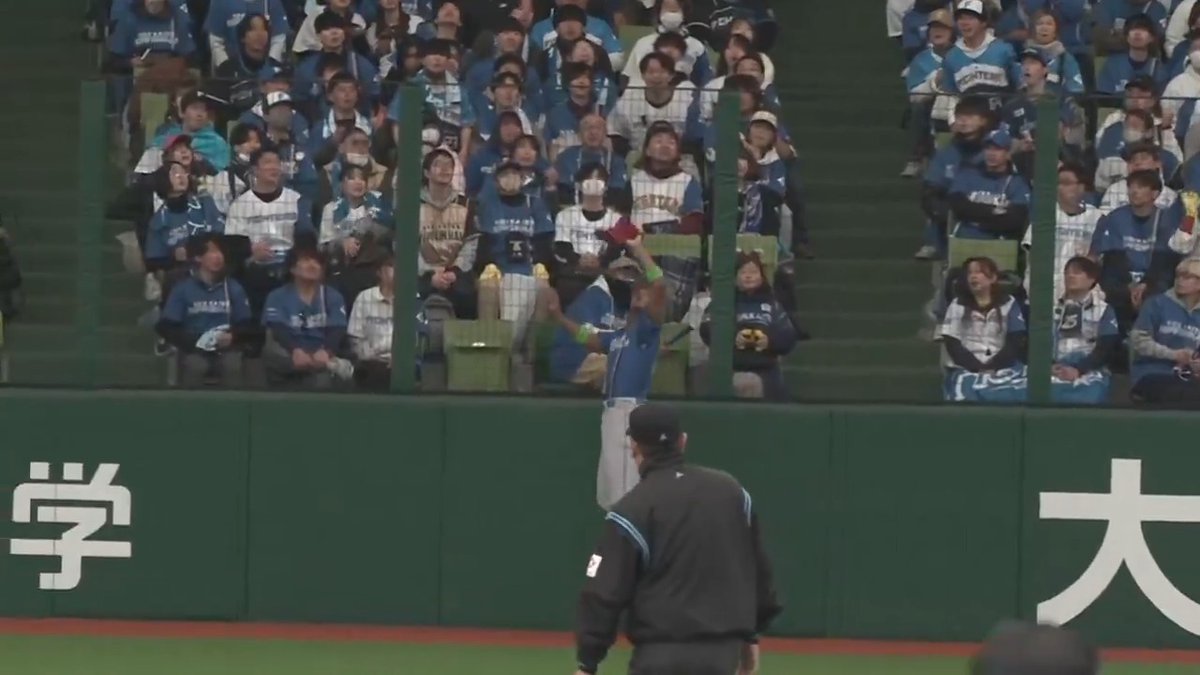横浜高校が第97回選抜高等学校野球大会優勝を決めた後のタイミングで！ OB・北海道日本ハム #万波中正 選手がジャンピングキャッチ‼️ #lovefighters 👇開幕3連戦 無料ライブ配信！
