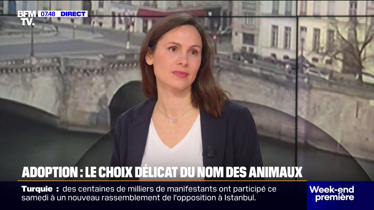🐶🐱 Comment bien choisir le nom de son animal et quels pièges éviter? Les conseils de la vétérinaire Jessica Zoccoli