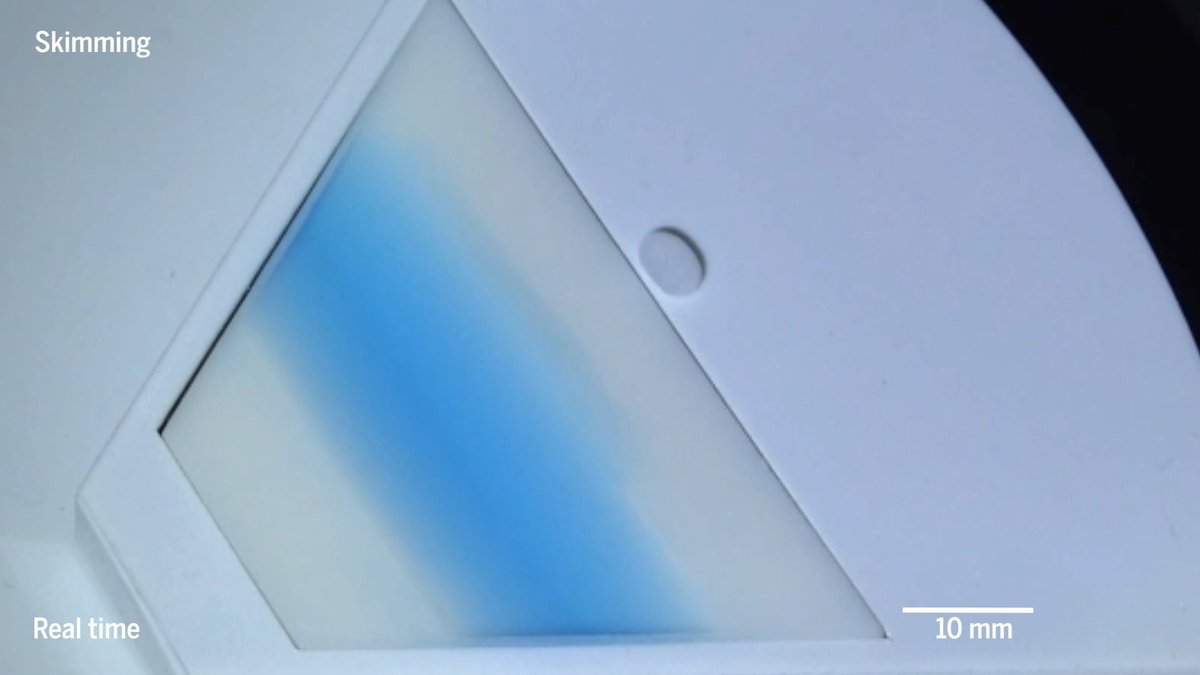 South Korean researchers developed a gummy-like robot using water droplets coated with Teflon particles PB can shape-shift, pick up debris, move across water, and merge with another similar robot
