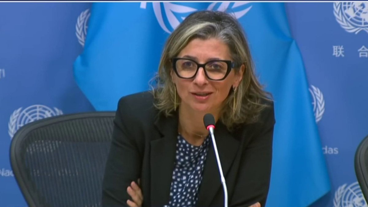 Une quarantaine de députés français s'opposent publiquement à la reconduction de Francesca Albanese, rapporteuse spéciale de l'ONU violemment anti-israélienne Précisions de Hanna Papiachvili (Hanna Papiachvili)