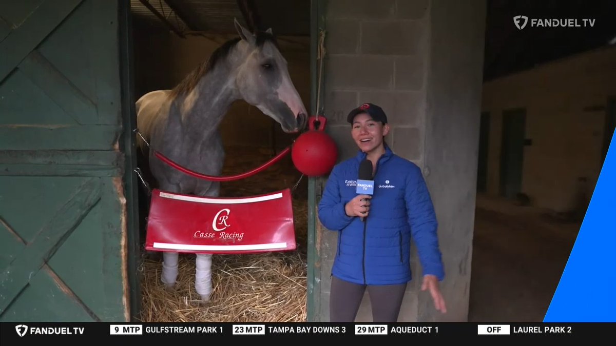 "He's kind of a diva..." Arkansas Derby winner SANDMAN hung out with Andie Biancone 🐴 this morning. What's the update? Find out! Kentucky Derby