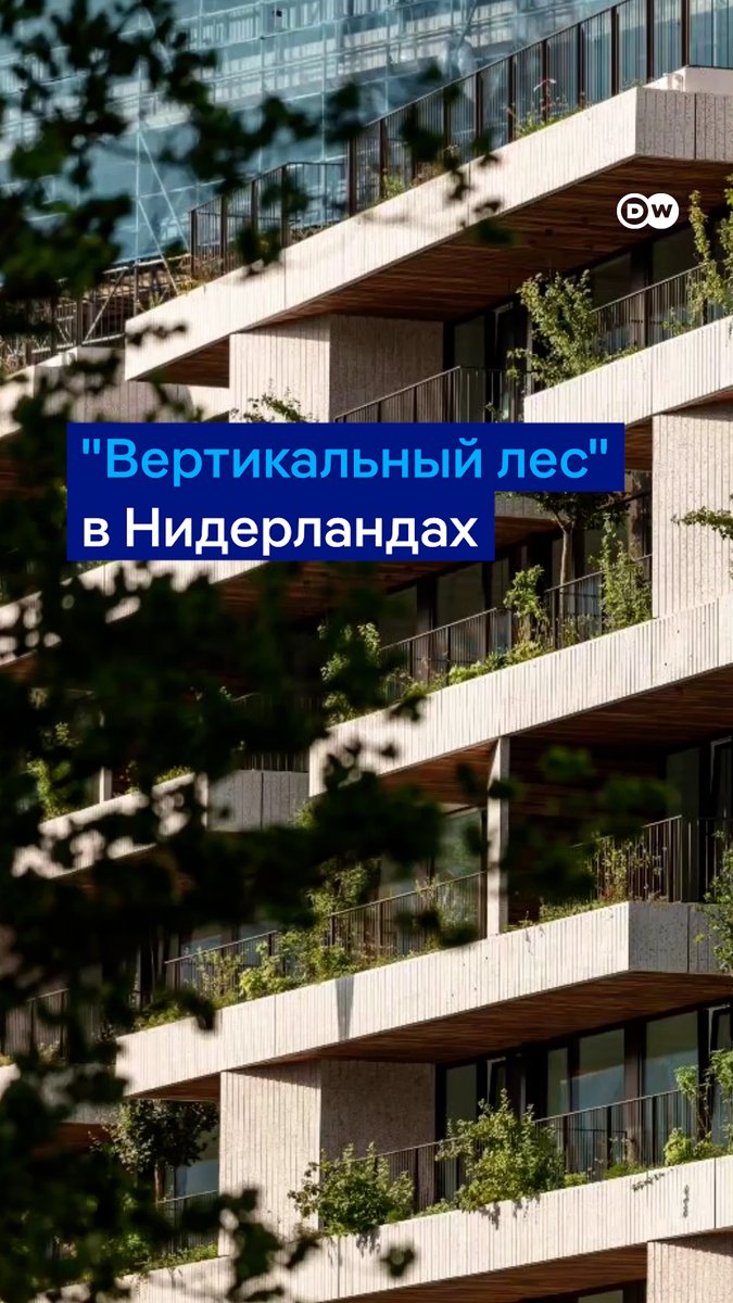 Этот жилой дом - вертикальный лес и заповедник для птиц. Это здание в Нидерландах показывает #dweuromaxx
