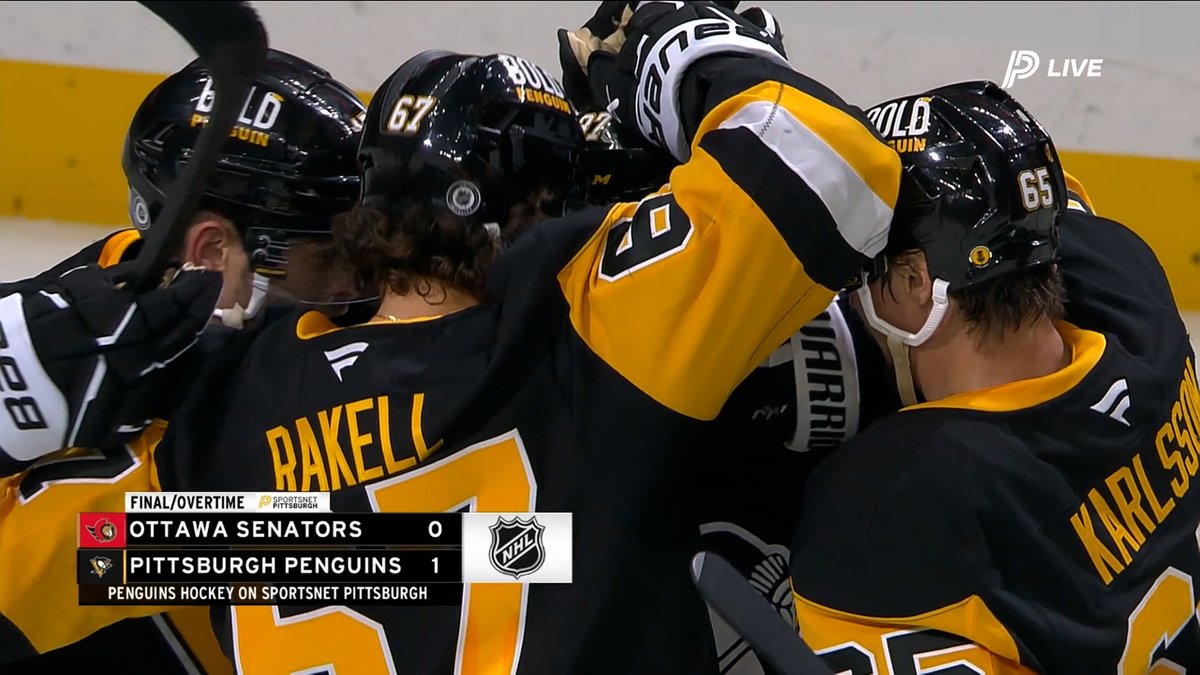 "SUDDEN DEATH FOR SIDNEY!" 😱 SIDNEY CROSBY OVERTIME WINNER 🚨