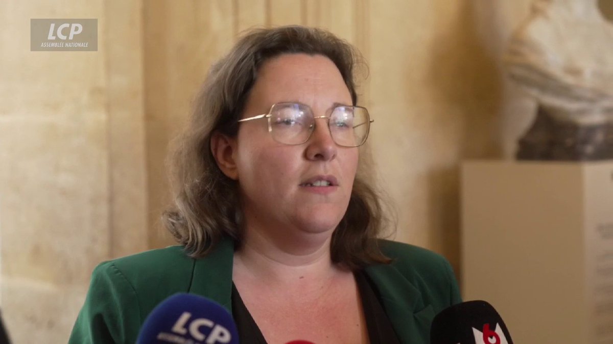 "Le Rassemblement national n'est pas interdit de se présenter aux élections, c'est Marine Le Pen qui est condamnée pour les actions qu'elle a faites", affirme Cyrielle Chatelain. #DirectAN #LePen