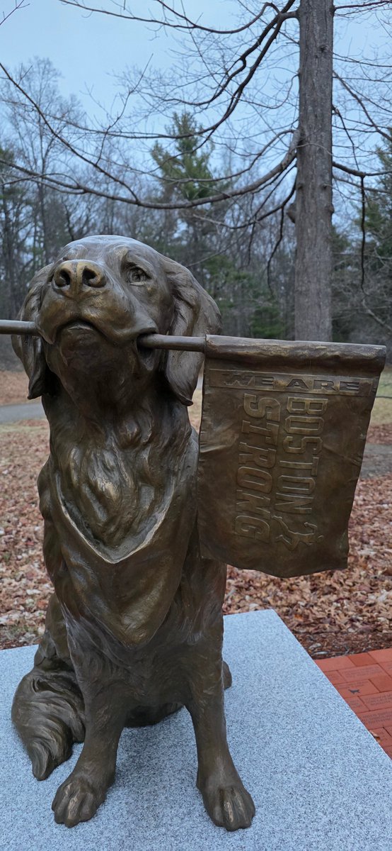 Mile 2 of the Boston Marathon has a statue in memory of Spencer, the official dog of the Boston Marathon, who cheered on thousands of runners for years. Spencer passed away after a battle with cancer at 13 years old. 💛💙