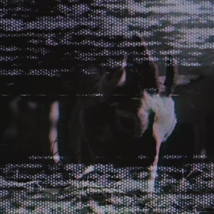 New song out Friday! Pre-save “In the Barn of the Goat Giving Birth to Satan’s Spawn in a Dying World of Doom” now at New album God Of Angels Trust out 6.6 🐐