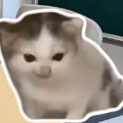 《八方来鸡巴》 -水很多的软软 🎤🐈 🌝🌝🌚🌚 掌声在哪里👏🏻👏🏻👏🏻👏🏻👏🏻 「天天听我老板唱来财来财 我脑子里此时只有鸡巴鸡巴 啊哈哈哈突发奇想改编了一下」