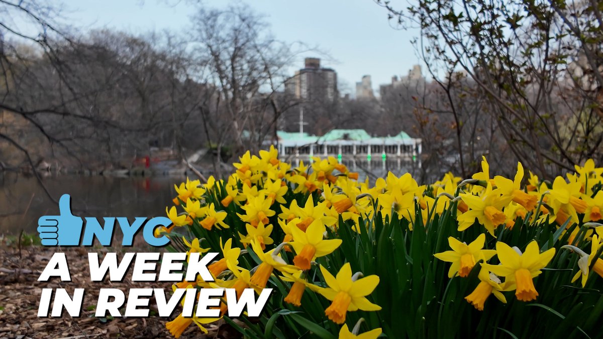 The #GetStuffDone checklist: ✅ - Expand FREE swim lessons to nearly 18,000 NYC students ✅ - Open doors to AFFORDABLE housing site for women-led households ✅ - Celebrate return of baseball season! ➡️ ➡️