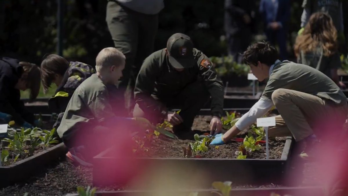 We were honored to welcome these curious, young gardeners to the White House this past week! With the help of National Park Service, they planted fresh fruits, veggies, and herbs for the Kitchen Garden! First Lady Melania Trump 🍓🥕🌿