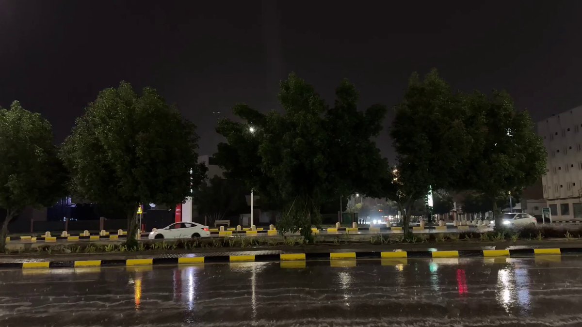 أمطار مصحوبة بالبرق على حفر الباطن في ثاني أيام #العيد من مراسل #الإخبارية طلال الحبشان