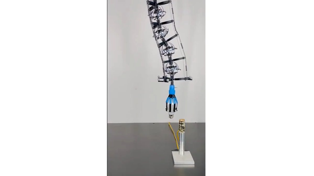 Inspired by elephant trunks, scientists have developed a soft, flexible robotic arm that can twist to stiffen, enabling it to manipulate and install a lightbulb. Learn more in Science Robotics: