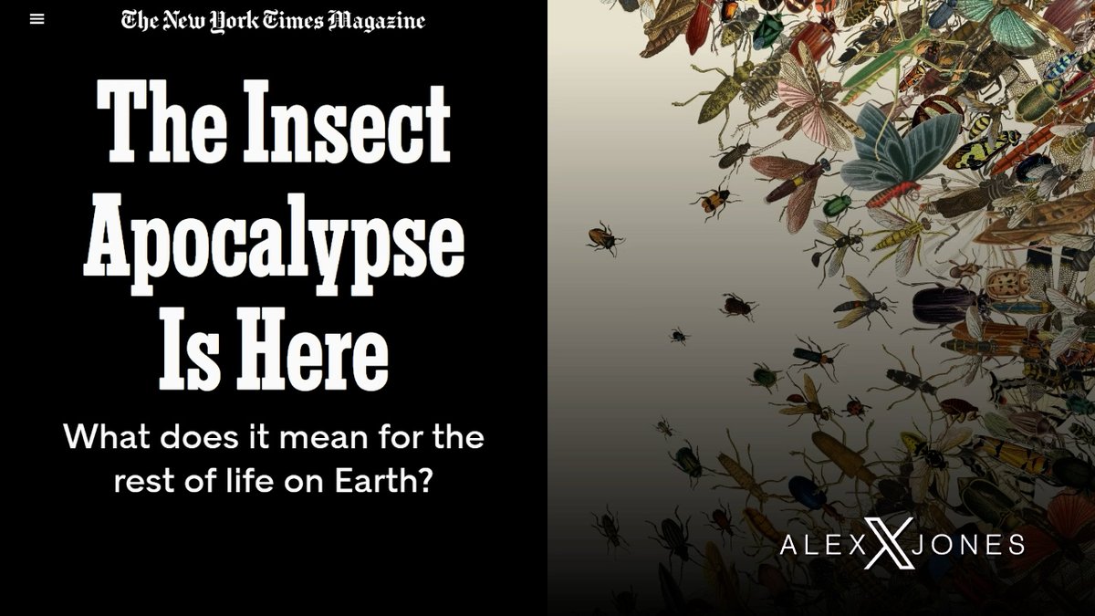 EMERGENCY WARNING: GeoEngineering Watch Director Dane Wigington Warns Escalating Levels Of Aluminum Toxicity Has Already Triggered A Collapse Of Insect Populations & Massive Deforestation » LIVE X STREAM: