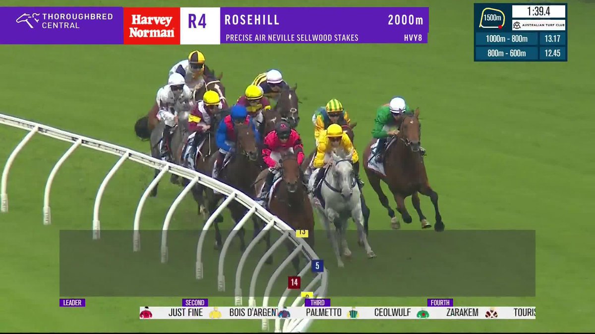 A huge win to Ceolwulf in the G2 Neville Sellwood Stakes - what a finish!! 🥵 Chad Schofield | Pride Racing | Australian Turf Club