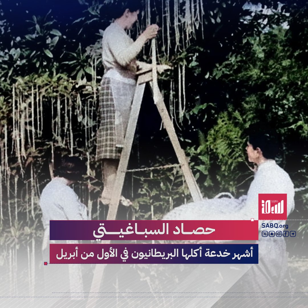 المعكرونة تُصنع أم تُزرع؟.. سؤال لا يحتاج للتفكير كثيرًا اليوم، لكن قبل أعوام صدّق مئات الآلاف في بريطانيا أن السباغيتي لها أشجار وموسم حصاد.. كيف ذلك؟