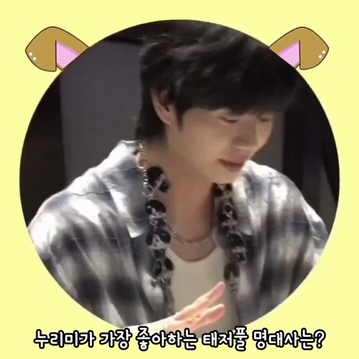주접 멘트를 대하는 누리미 센스 있는 대답 좀 봐줘ㅋㅋㅋㅋ💗