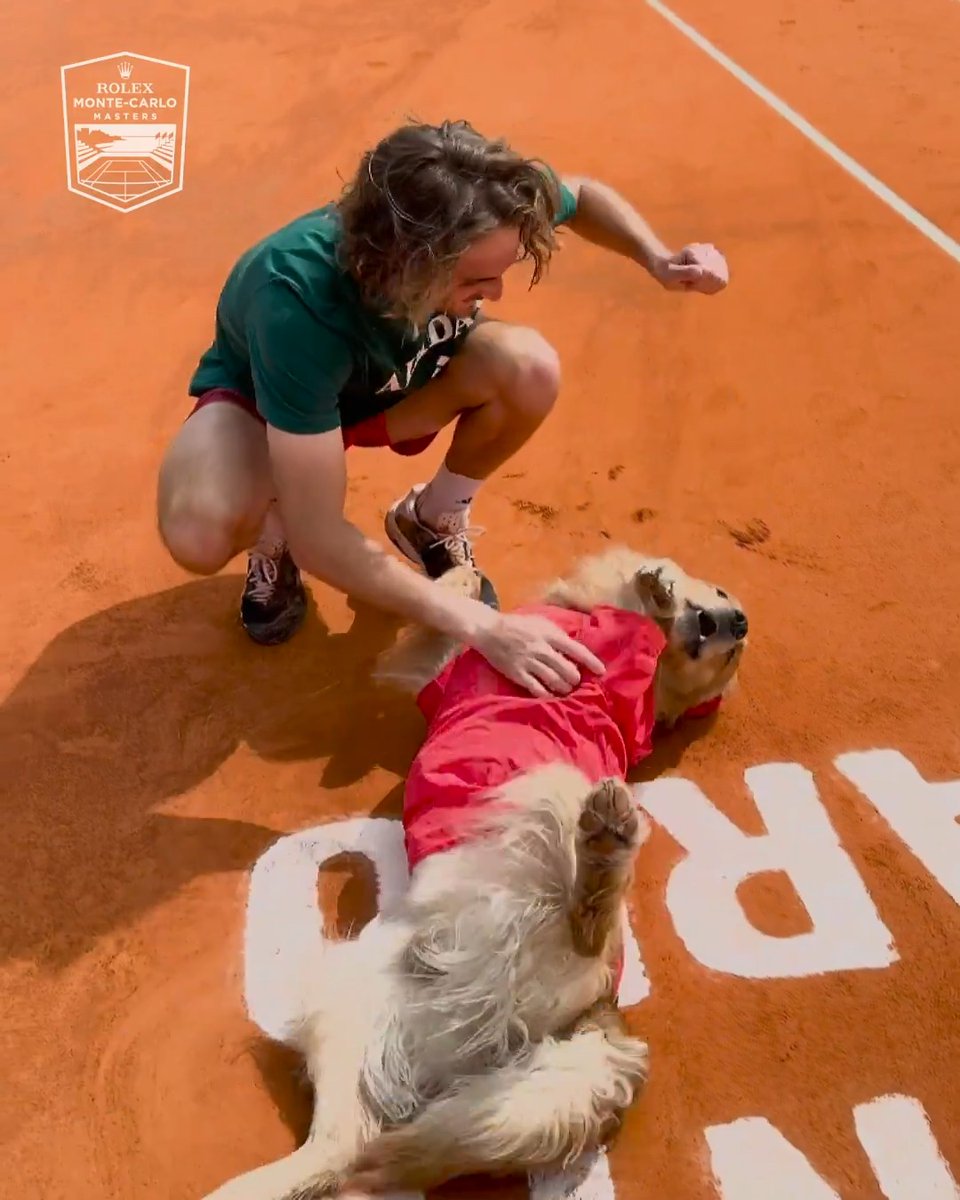 Tsitsipas meets Tsitsipaws 🐶 Stefanos Tsitsipas practices with mascot Sam at the #RolexMonteCarloMasters!