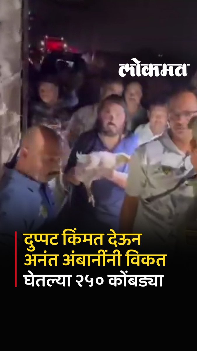 अनंत अंबानी यांची पदयात्रा सुरू असताना वाटेत एक ट्रक २५० कोंबड्या घेऊन जाताना दिसला. पिंजऱ्यात बंद असलेल्या या कोंबड्या कत्तलखान्याच्या दिशेने जात होत्या. हा ट्रक दिसताच अनंत यांनी ते वाहन थांबवण्यास सांगितले. त्यातील कोंबड्या दुप्पट दराने विकत घेतल्या आणि आता या आम्ही पाळू असं ते म्हणाले. अनंत अंबानी यांनी हातात एक कोंबडी घेत पुढे प्रवास करत जय द्वारकाधीश अशी घोषणाही दिली. #LokmatNews #anantambani #hens #chicken #baught