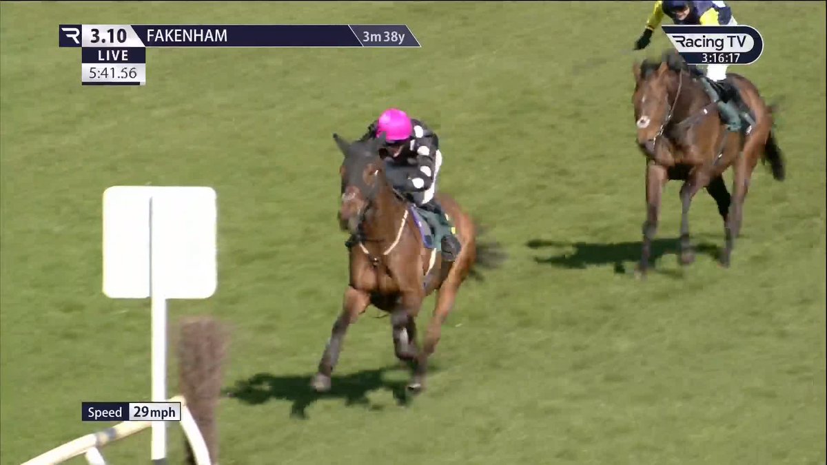Would you believe it? 👀 Ballygelly turns over 1/9 favourite Loud And Proud in a match Fakenham Racecourse. No such thing as a certainty - not in this game!
