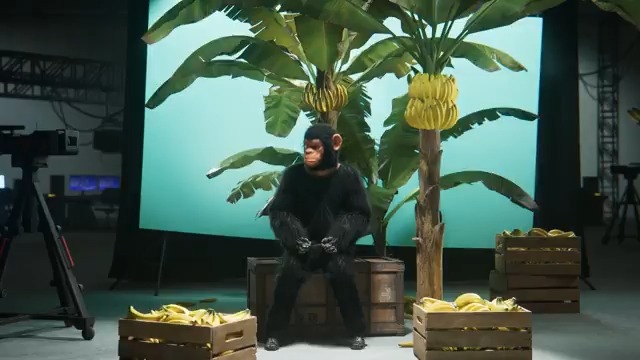 Cobra’s done some monkey business on Teardrop and he’s dragging every Zero with him! Swing in and get your paws on a unique Ape-Fool Mask 🍌