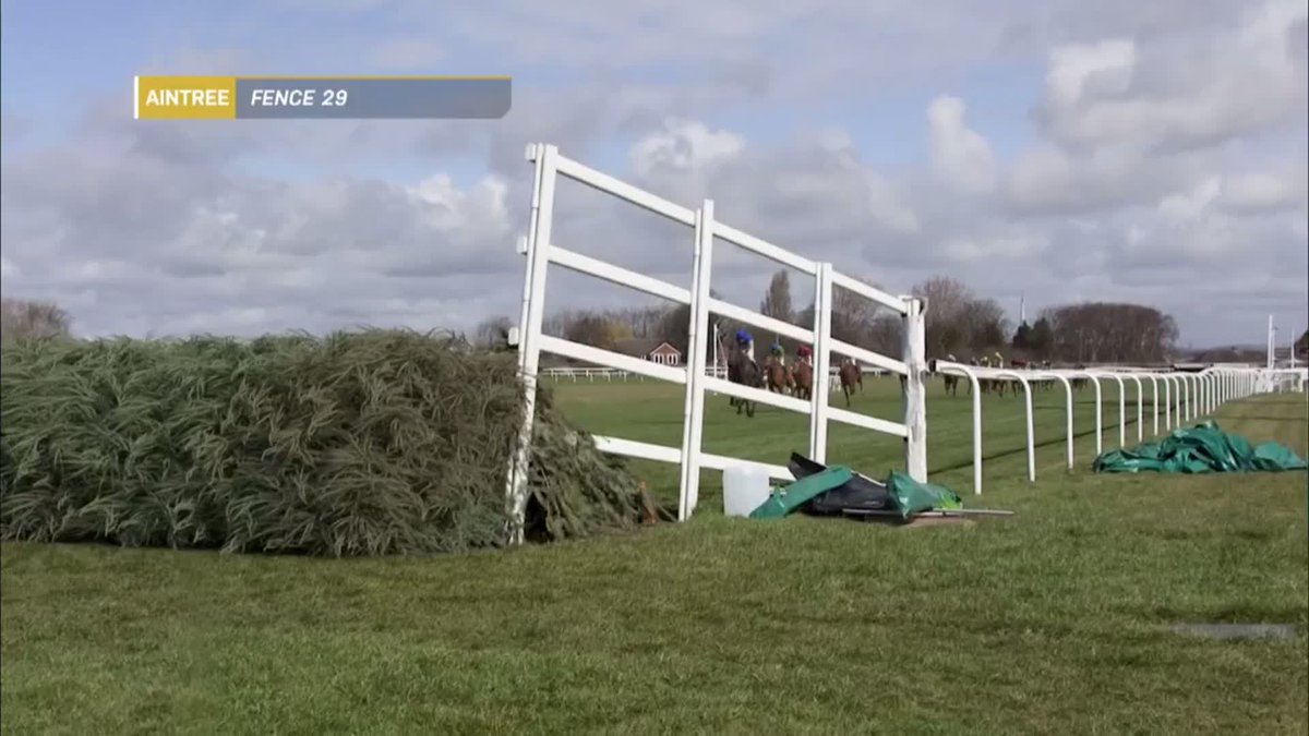 Potters Corner wins the 2020 Virtual Grand National 🏇🏻