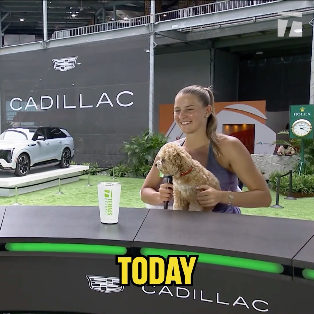Best of the desk: Miami edition 🐶🏎️🍹