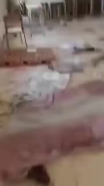 🔴 استشهاد عدد ١٥ أسير سبب العطش و الجوع حيث كانت تحتجزهم مليشيا الدعم السريع في أحد المدارس في منطقة جبل أولياء و هذا عدد قليل من الاسرى الذين توفوا في معتقلات المليشيا و تم حصرهم.. لا حول ولا قوه إلا بالله لهم الرحمة والمغفرة #الدعم_السريع_مليشيا_ارهابيه