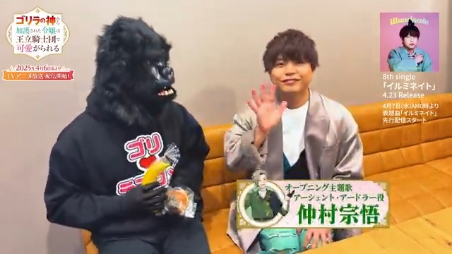💘#宣伝隊長のゴリラ 💘 GORILLA HALL OSAKAに行く！その3⃣ OP主題歌 #仲村宗悟 さんの ライブツアーの応援に駆け付けたゴリラ！ 仲村宗悟さんにご挨拶するため楽屋へ…🦍🍌 突然の訪問にも関わらず、 温かく迎えてくださりありがとうございました🙇 #ゴリラの加護令嬢 #ゴリラブコメ