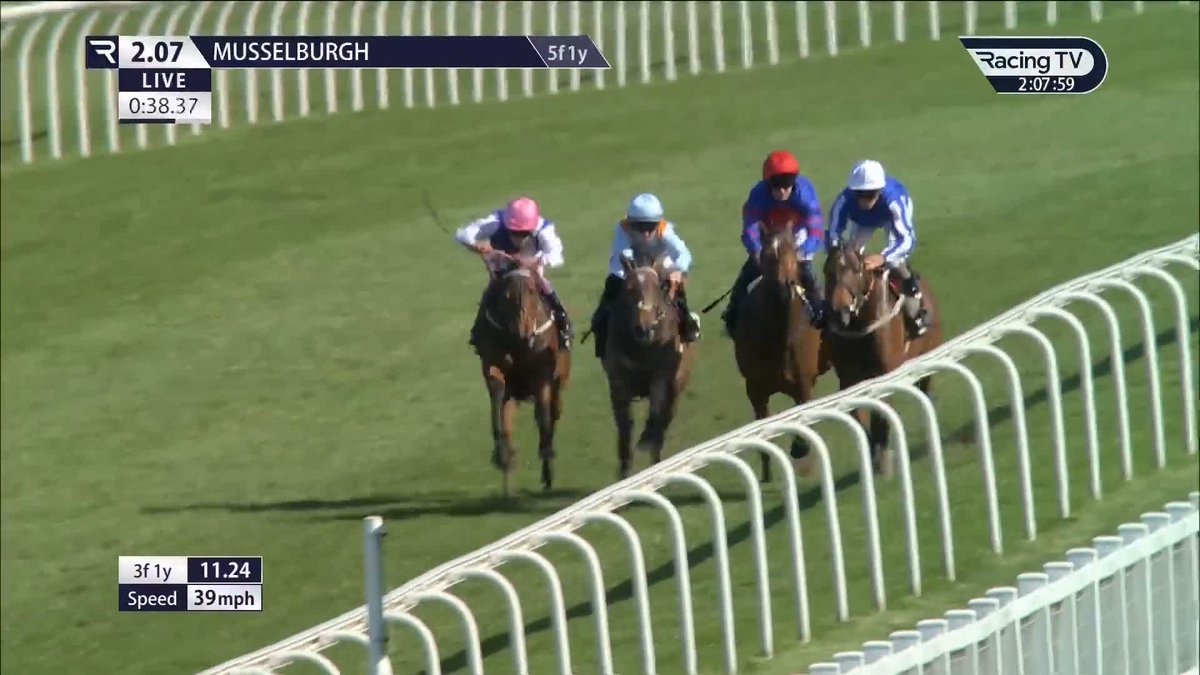 Nice ... 👀 Once the penny finally dropped, newcomer 𝐀𝐫𝐝𝐢𝐬𝐢𝐚 (Ardad) flies home under Jason Hart in the LiveScore British EBF novice stakes Musselburgh Racecourse 💨 A 10th winner of the year for HUGO PALMER AT MANOR HOUSE STABLES