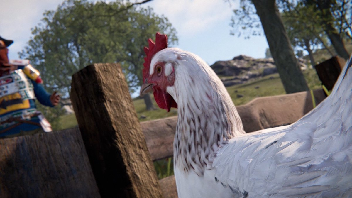 Believe it or not, chicken is actually made of chicken! 🙃🐔🥚 How are you getting on with the new Chicken Coops?
