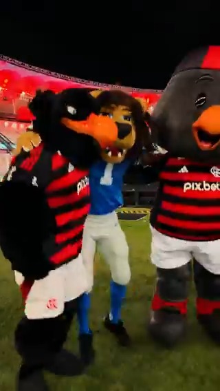 O Roary, mascote do Detroit Detroit Lions, foi ao Maracanã e trocou uma ideia com o Urubão e com o Binho. Se liga aí como foi!