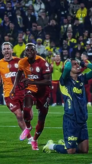 İşte böyle, HER SENE BÖYLE! 🦁