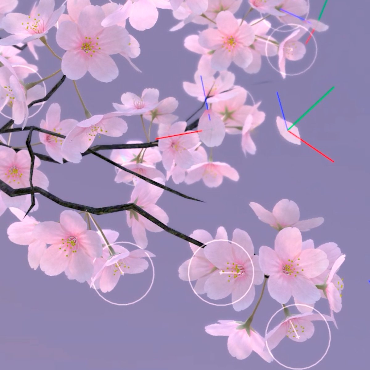 舞い散る花びらテスト。