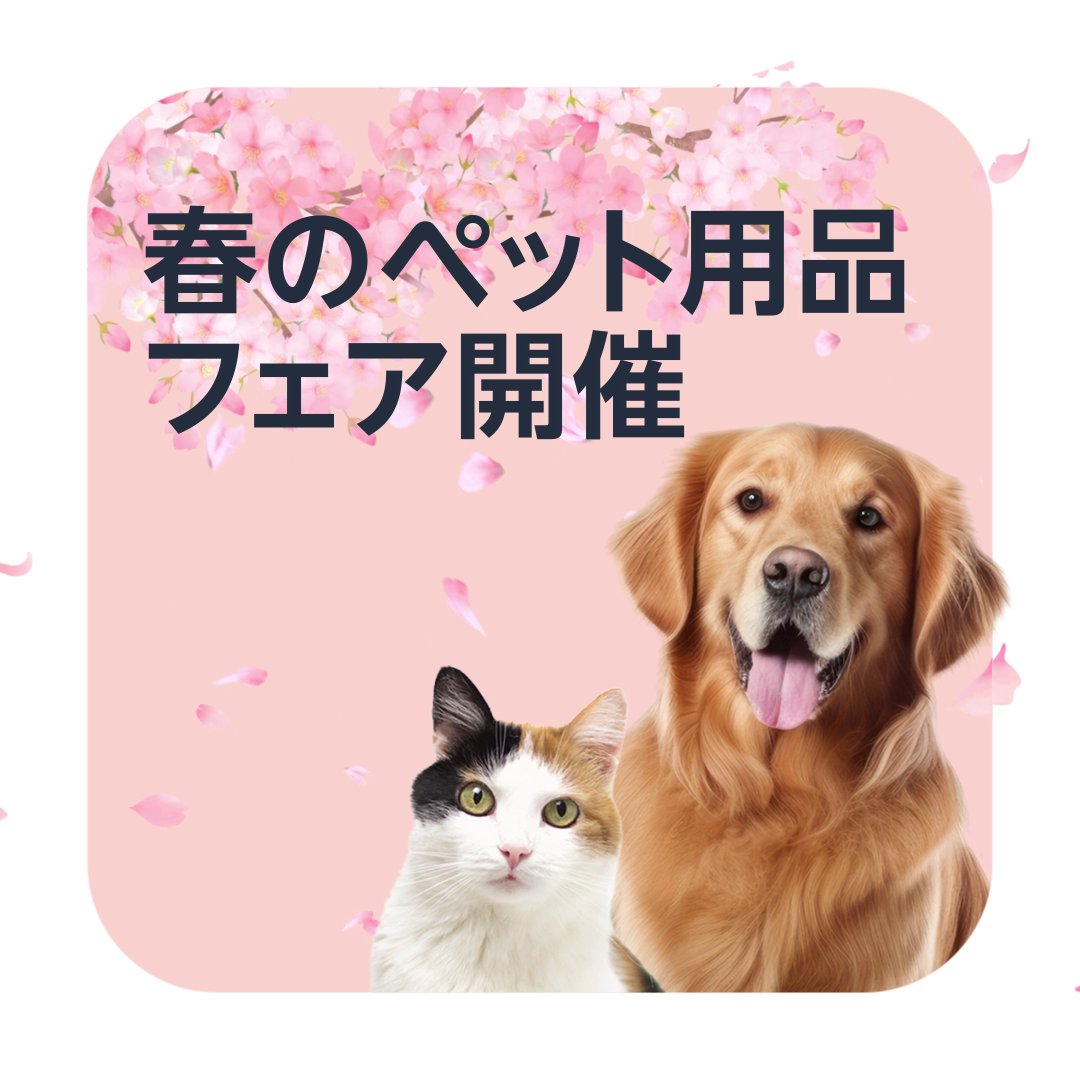 Amazonでは 「春のペット用品フェア」を開催🐈🐕 📅4/6（日）23:59まで✨ 新しくオープンした「ペットの健康ストア」ではお得なクーポンも🐾 ぜひご覧ください😊