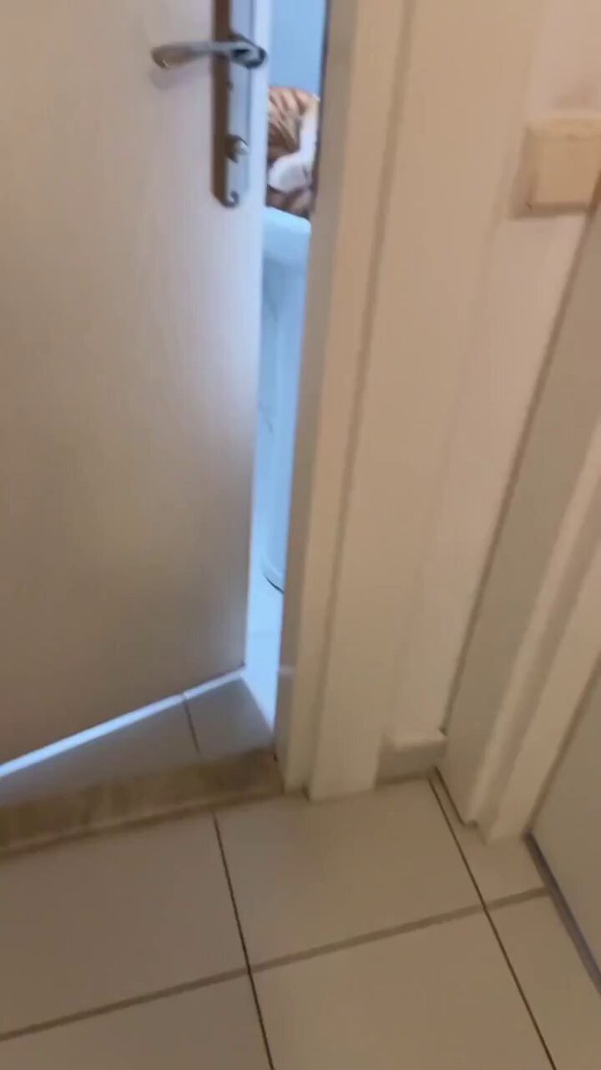 猫咪🐱从小就喜欢躺在这里😻，但是它长大了，这里却没变化😼🤭