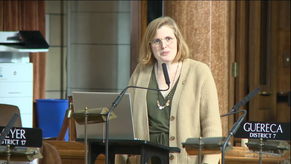 Nebraska State Sen. Machaela Cavanaugh questions why the legislature won't hear/vote on any of Sen. Terrell McKinney's bills. "I don't know if it's because he's Black or if it's because he's a Democrat, but there's some reason in there that you all can't vote for his things."