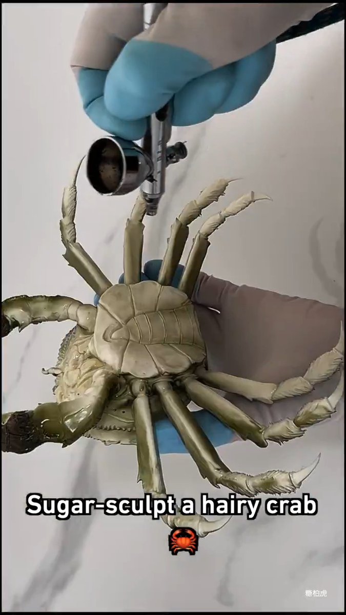 Feeling a bit shellfish today