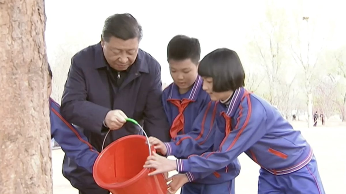 For over a decade, Chinese President #XiJinping has planted trees in Beijing as part of efforts to make China greener and more sustainable. Join us as we take a closer look at the trees he planted in 2019 and how China's green efforts are shaping the future.