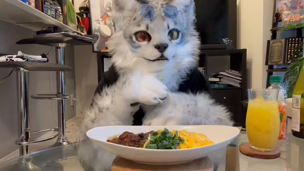 フィクサー特製🐱 フワトロ ビーフシチューオムライス😋 #NEKOsキッチン #フィクサードロー #FursuitFriday