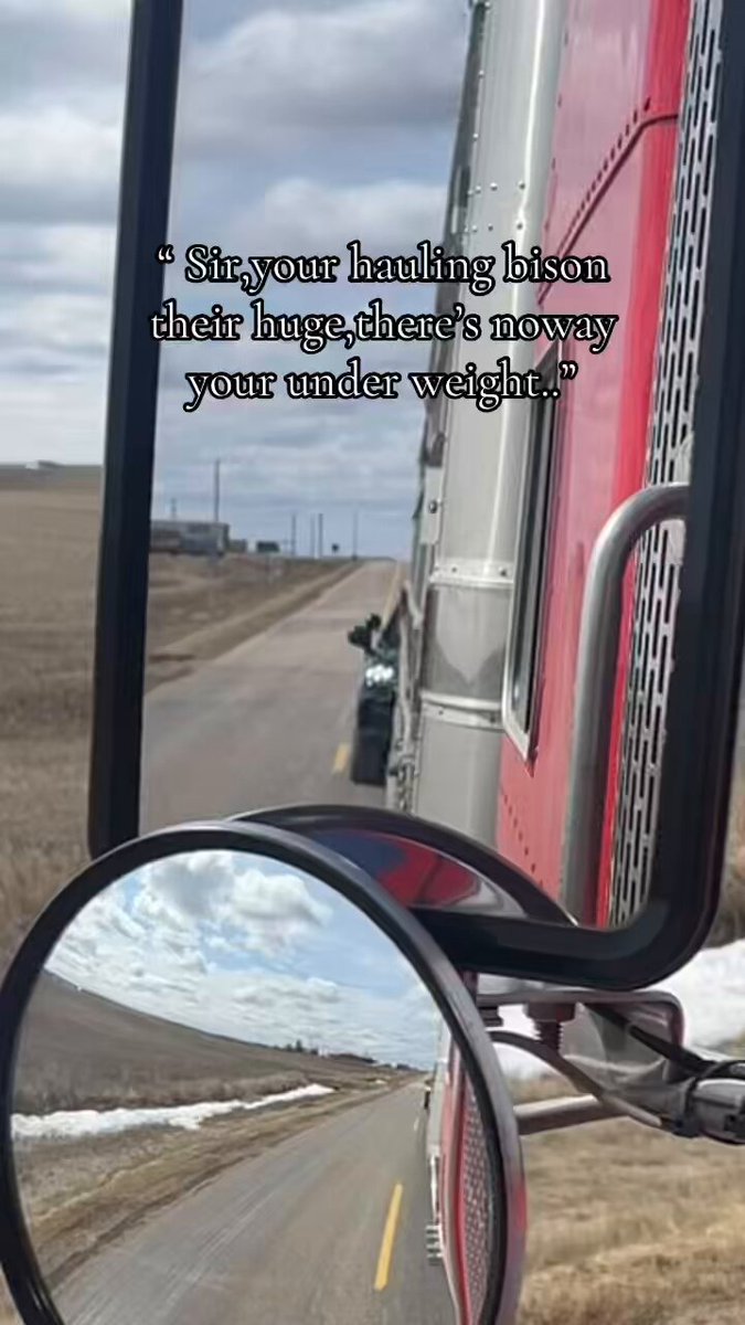 On today’s adventures ! I had on 24,000 lbs of bison calves ,Running a Light weight highway and got pulled over. Showed him the weigh slip and said “ no bison are huge your way over weight” 400 lb calves he believed to be at least 2000 lb animals. 🙄 He was special !
